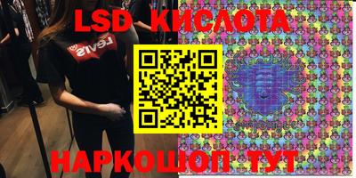 индика Моздок