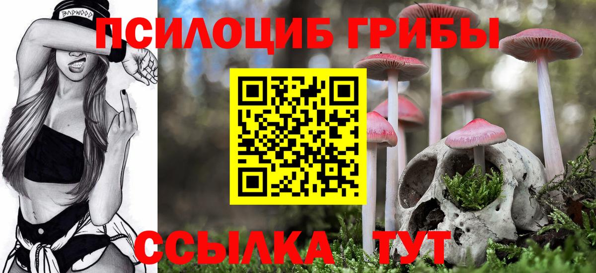 Галлюциногенные грибы Cubensis  Вход с VPN  Топки 