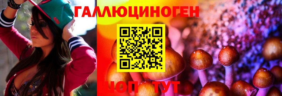 Галлюциногенные грибы Psilocybine cubensis Топки